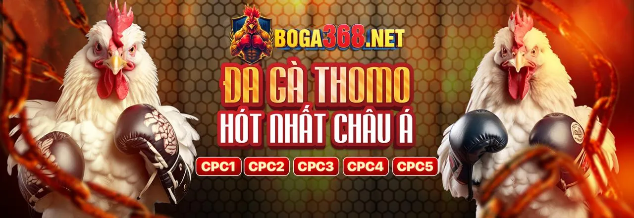 Banner kêu gọi hành động K8 link mới