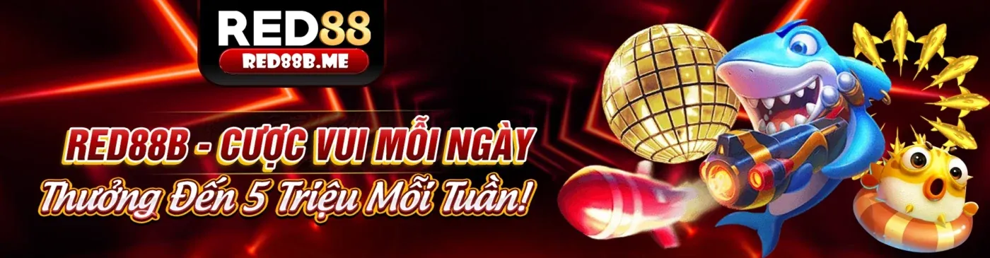 Giao diện nền tảng K8 Link Mới với nội dung cá nhân hóa
