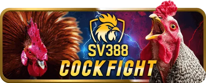 Tầm Nhìn và Sứ Mệnh